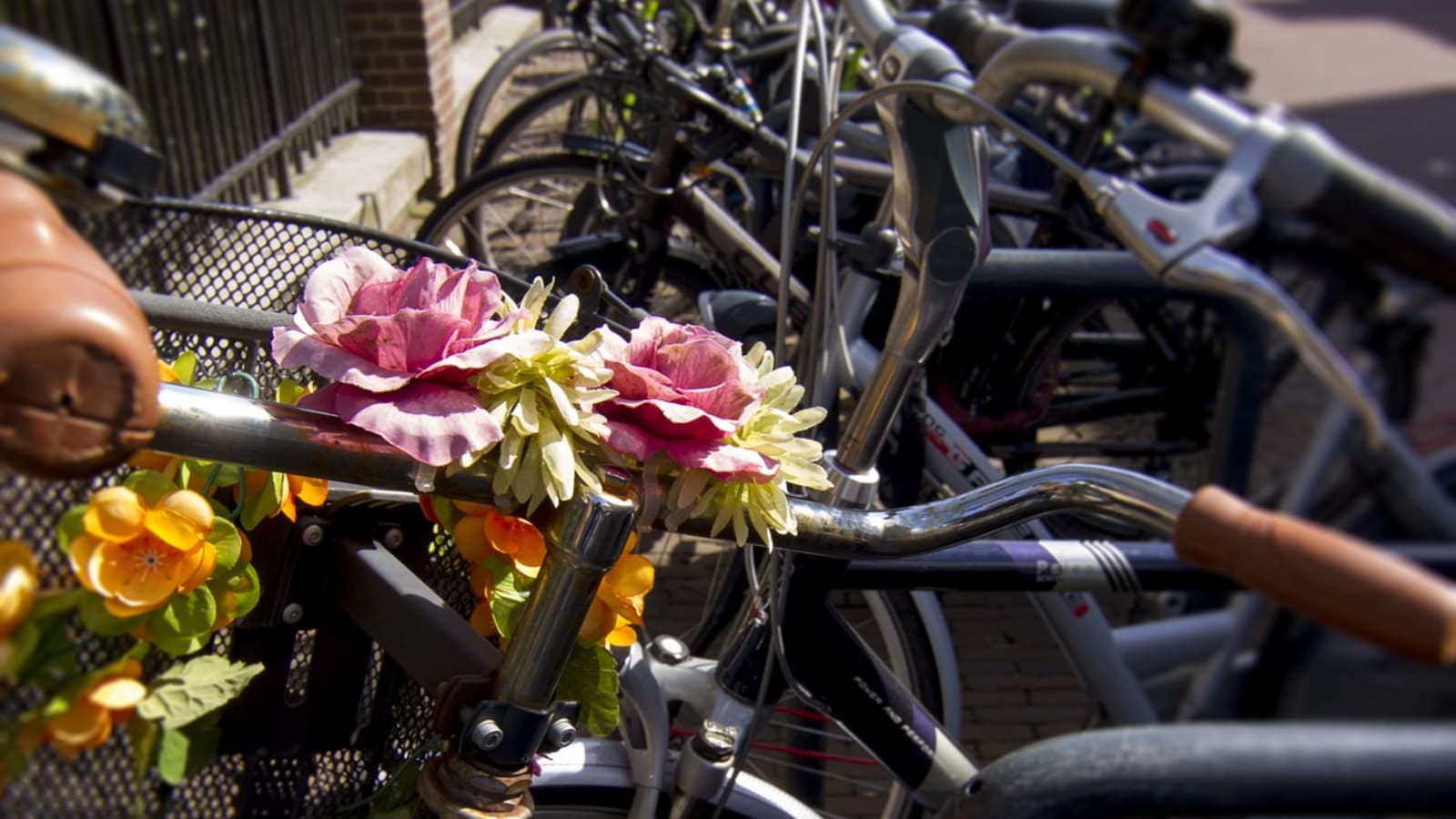 4-Hour Delft Bicycle Tour through Midden-Delfland Villages