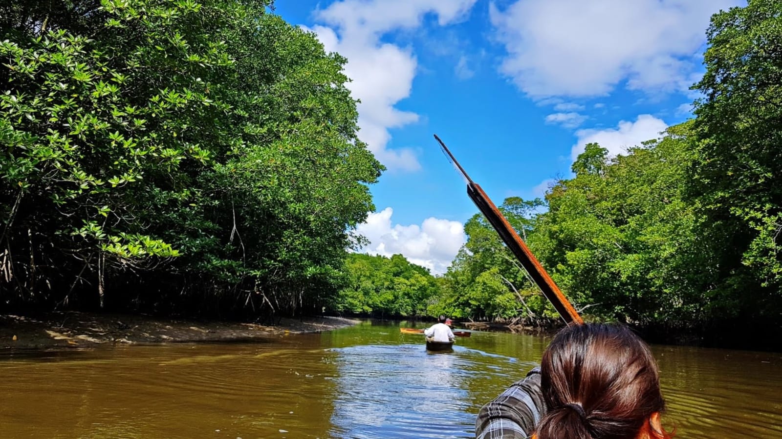2-Hour Canoeing Tour in Limpaki Wetland National Park