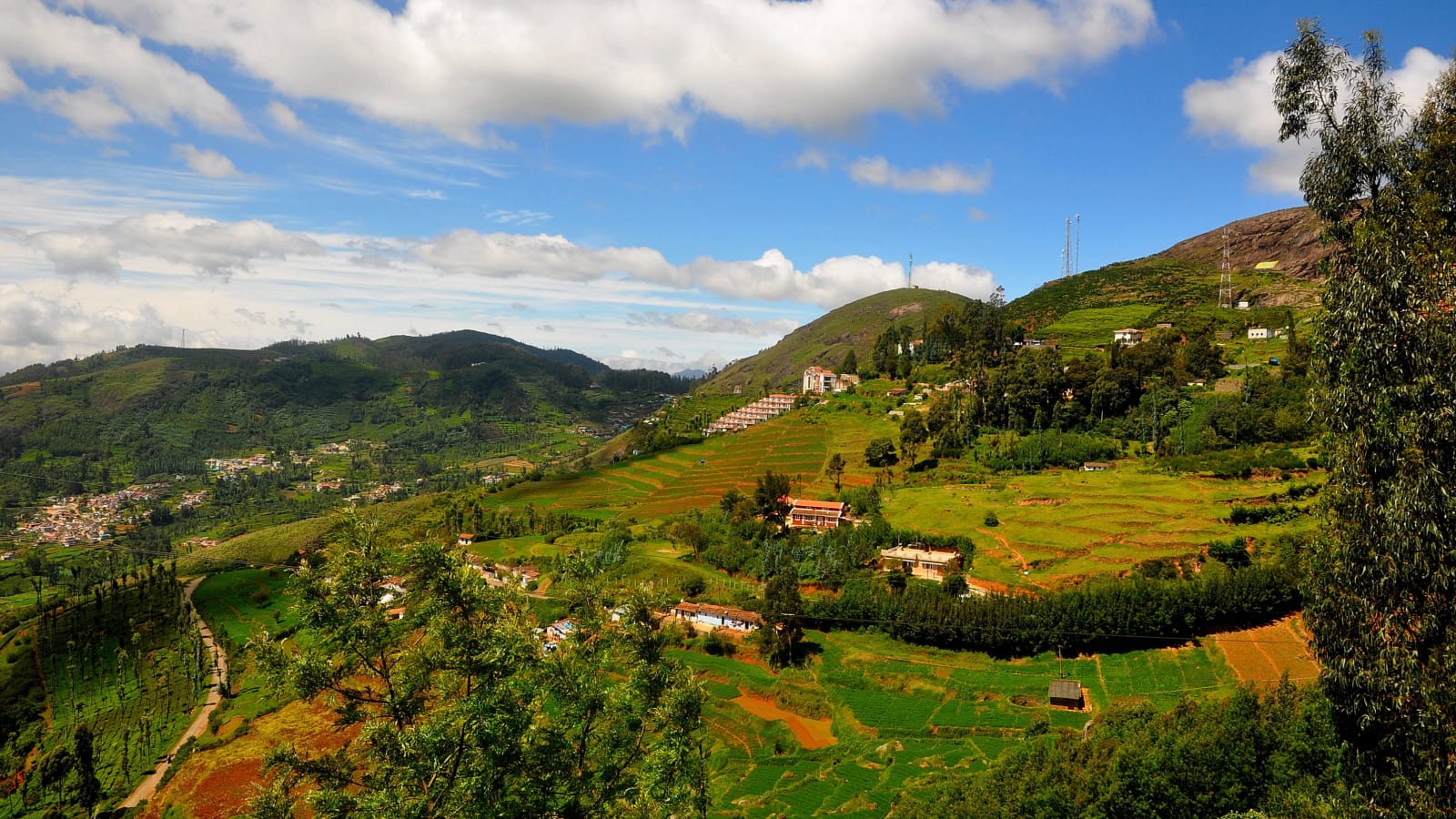 4-Day Ooty Highlights Tour from Coimbatore with Trek and Barbeque