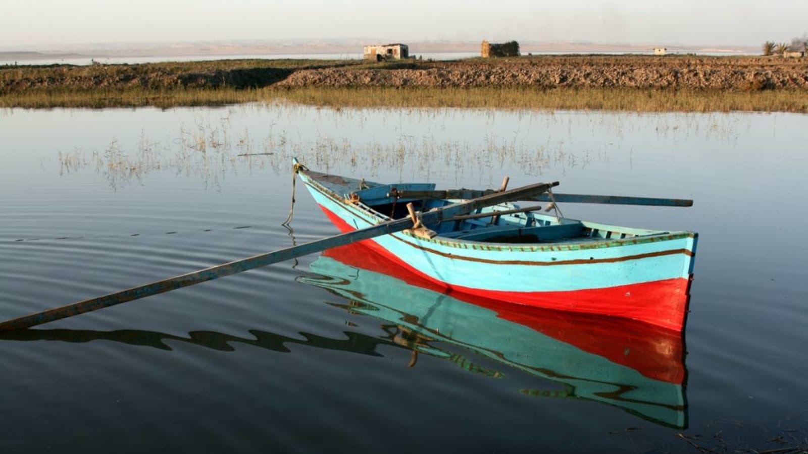 12-Hour Fayoum Oasis Tour from Cairo with Wadi El-Hitan and Sandboarding