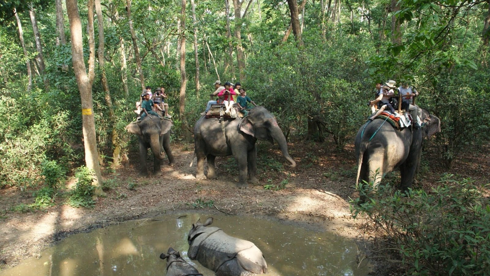 10-Day Nepal Highlights Tour with Kathmandu, Pokhara, Lumbini and Chitwan
