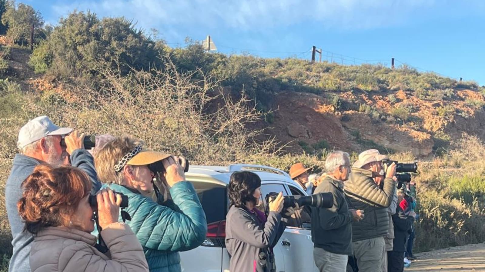 6-Hour Klein Karoo Birding Tour from Oudtshoorn with Picnic Breakfast