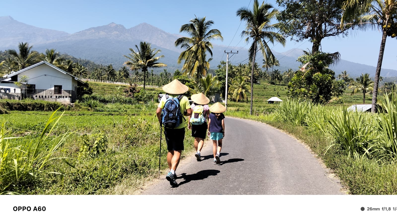 1-Day Senaru Village and Sendang Gile Waterfall Tour in Lombok