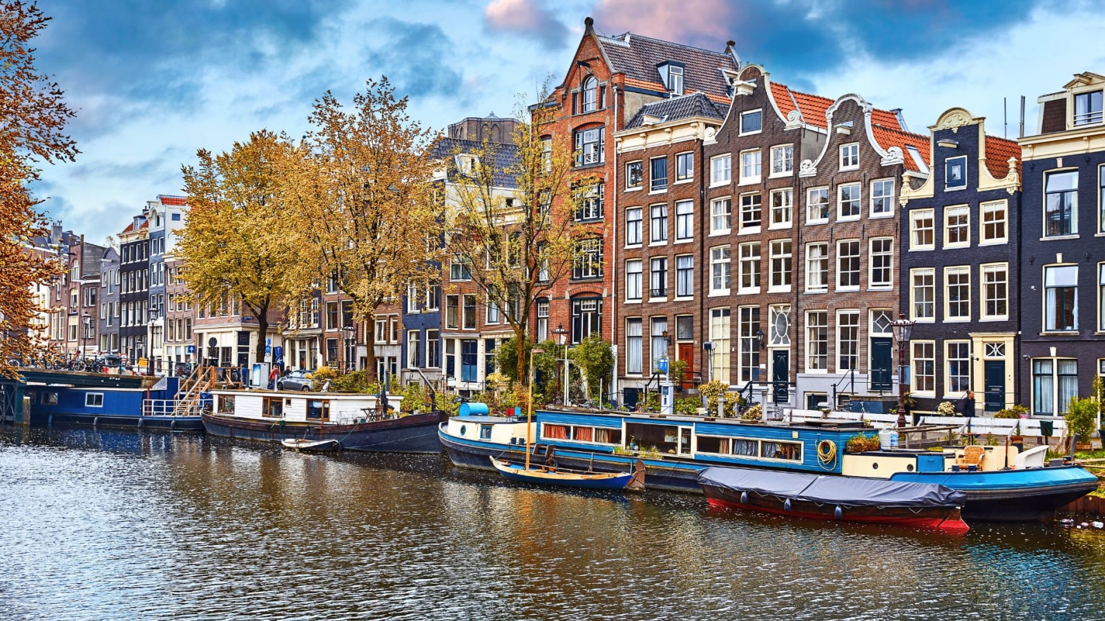 1-Hour Amsterdam Walking Tour with a Local for Insider Tips