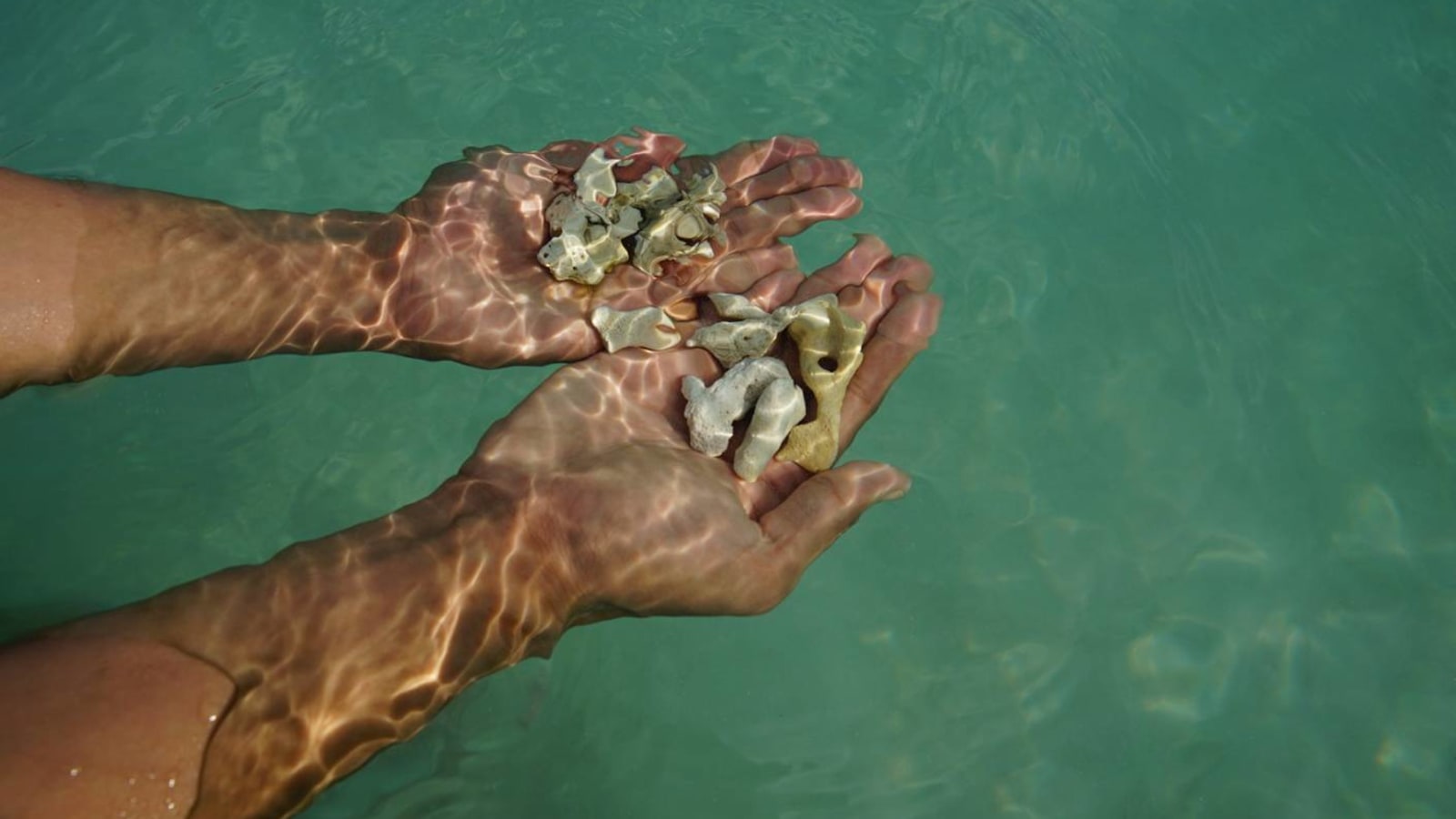 3-Day Perhentian Island Resort Stay from Kuala Besut with Snorkelling