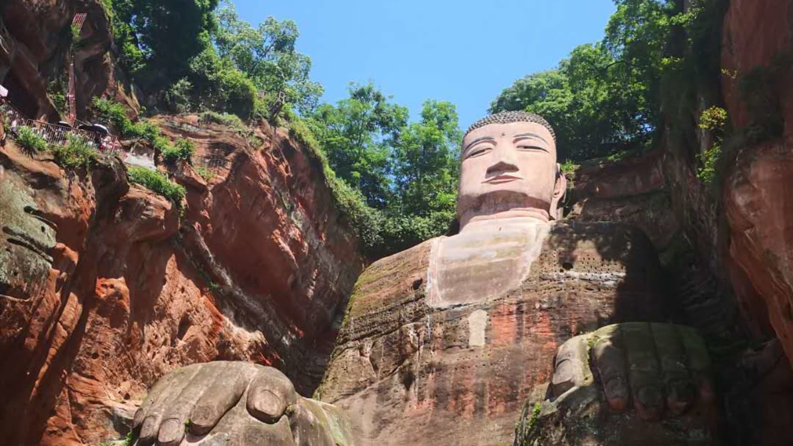 1-Day Panda and Leshan Giant Buddha Tour from Chengdu
