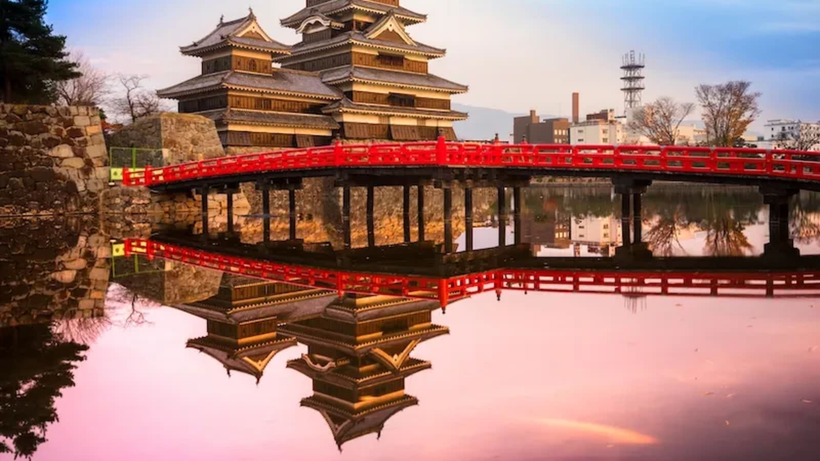 8-Hour Matsumoto Castle and Daio Wasabi Farm Tour with Bilingual Driver