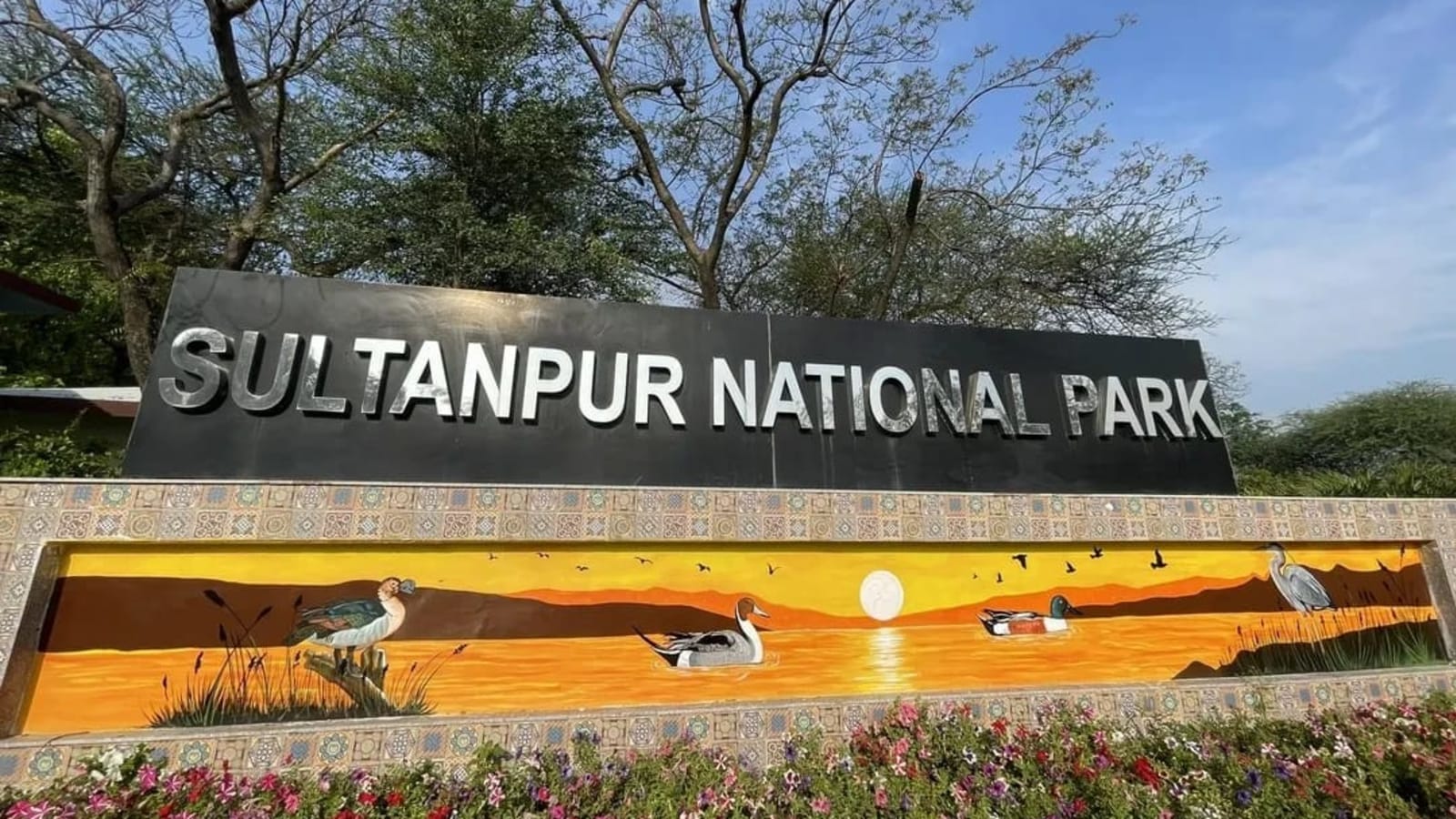 1-Day Birdwatching and Heritage Tour to Sultanpur and Farrukhnagar