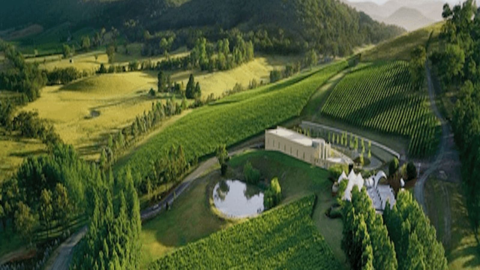 8-Hour Yarra Valley Winery Tour with Pink Lady Cider Tasting