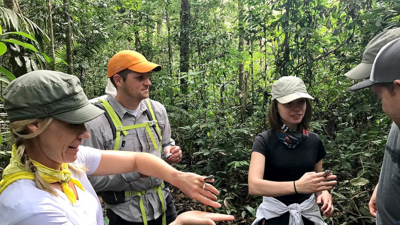 4-Day Tamshiyacu-Tahuayo Reserve Tour from Iquitos with Ayacucho