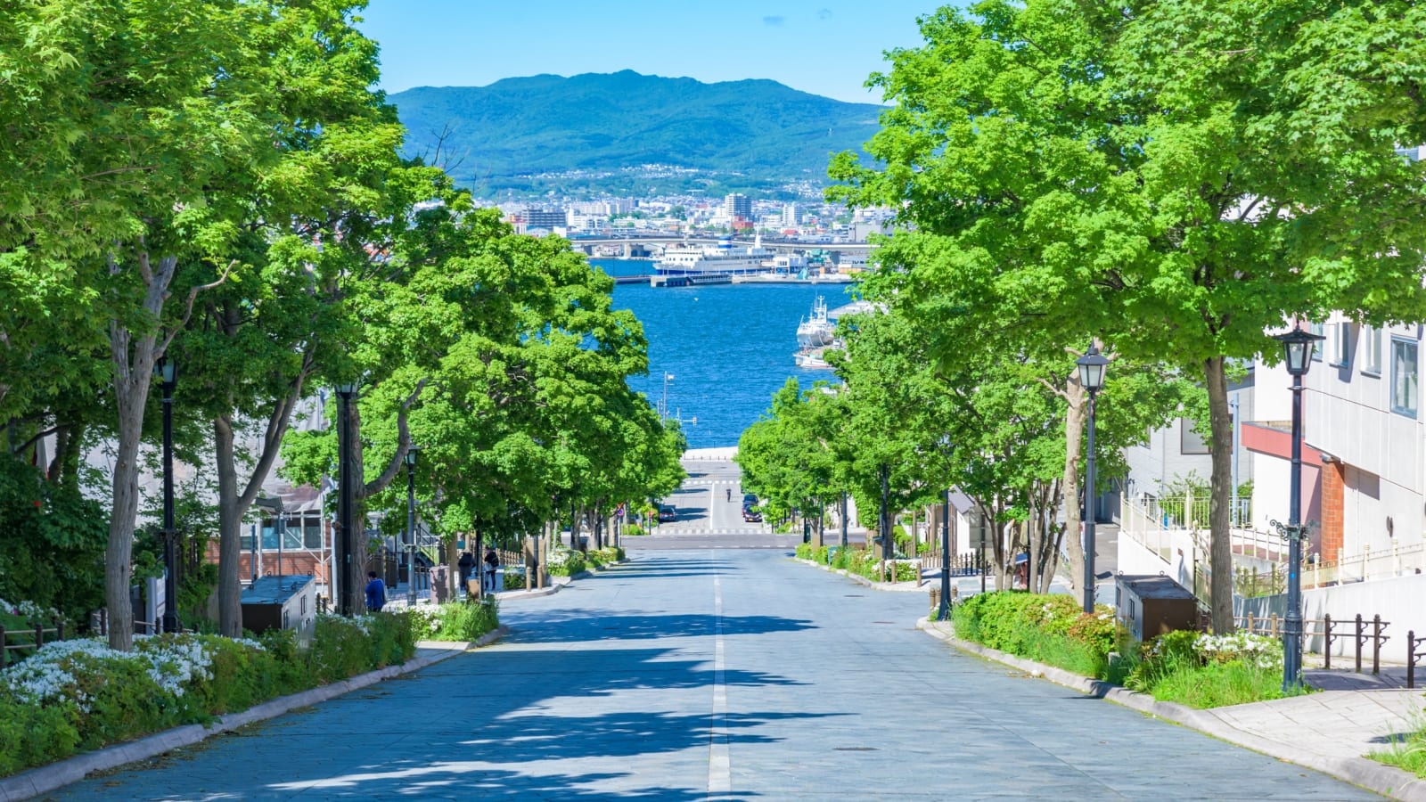 2-Hour Private Hakodate Heritage Tour with Historic Churches