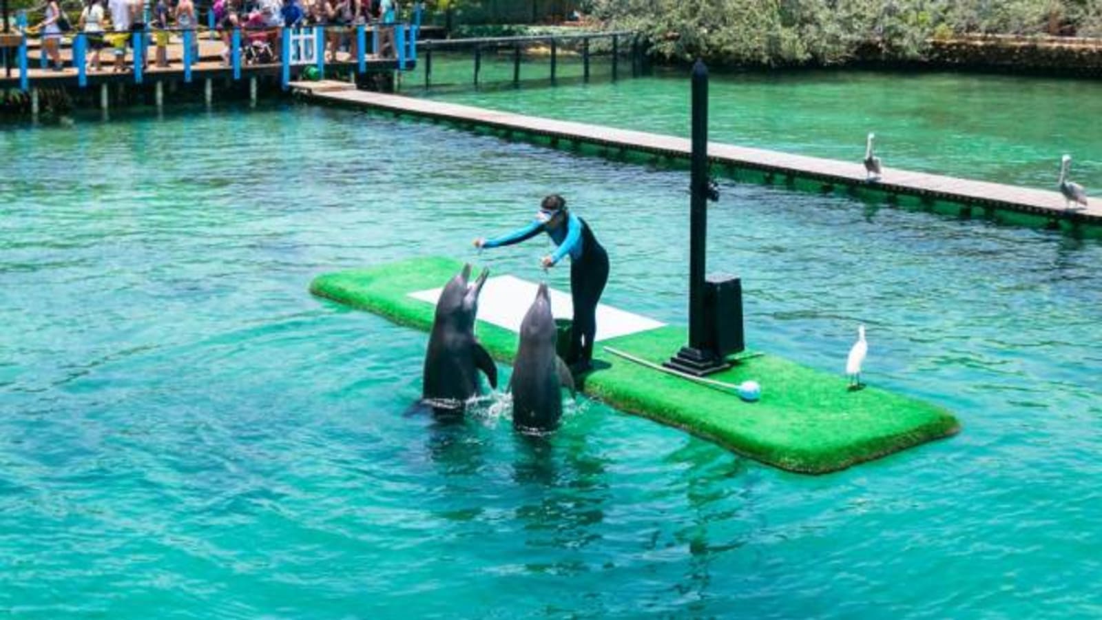 8-Hour Rosario Islands and Playa Blanca Tour with Aquarium Visit