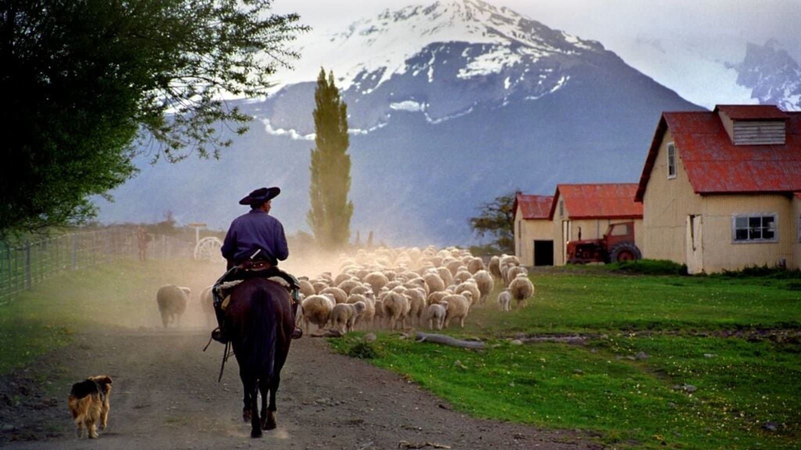 6-Hour Estancia Nibepo Aike Ranch Tour from El Calafate with Lunch