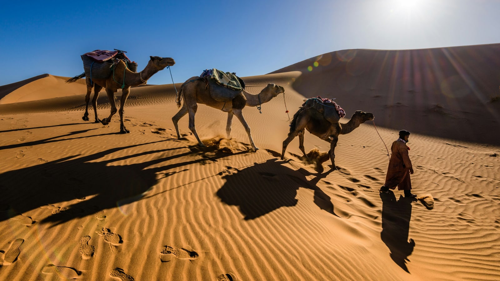 5-Day Sahara Desert Tour from Marrakech with Erg Chebbi Camp