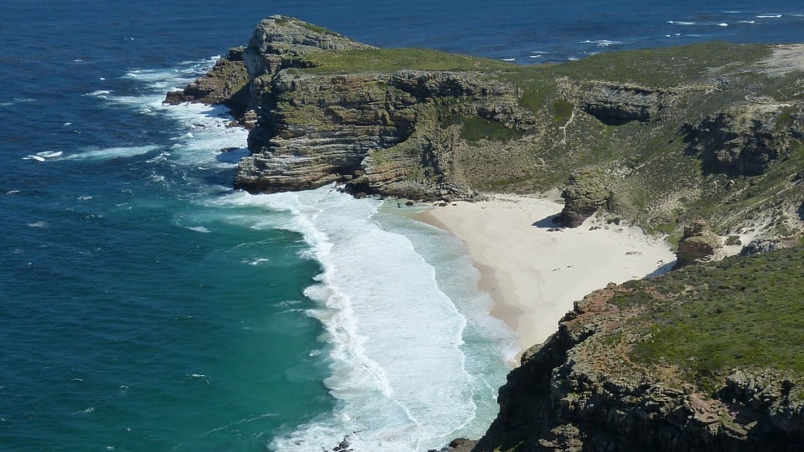 Full-Day Cape Peninsula and West Coast Wildlife Shore Excursion