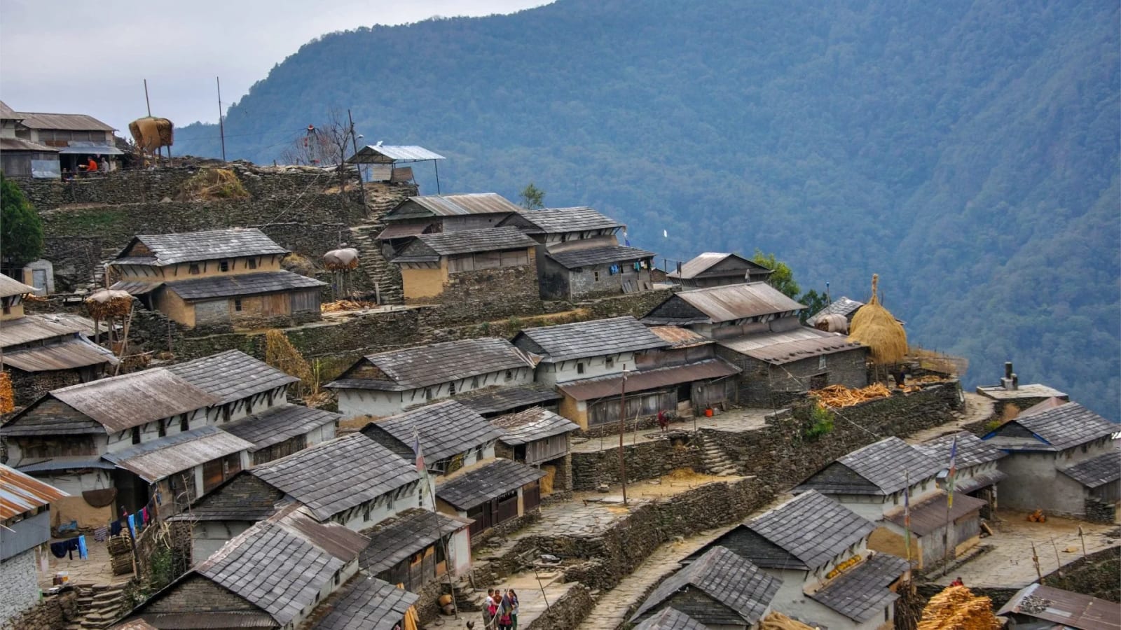4-Day Bhujung and Ghalegaun Hiking Tour with Gurung Homestays