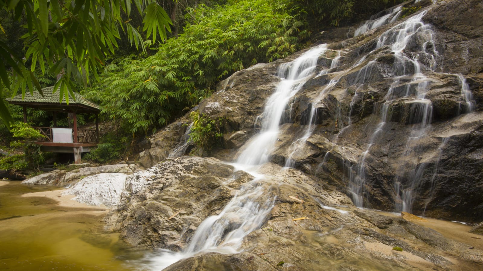 1-Day Langkawi Highlights Tour with Mangrove Safari and Sky Bridge