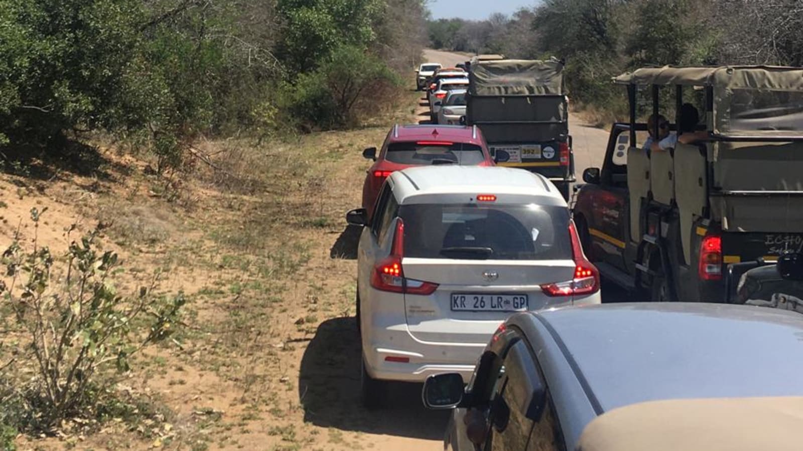 1-Day Kruger National Park Safari from Maputo with Big Five spotting