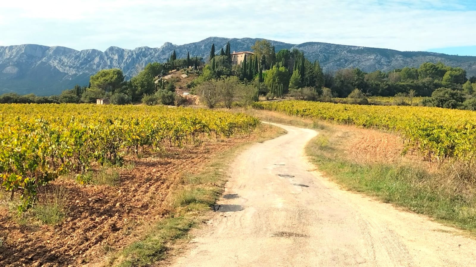 7-Hour Provence Wine Tour with Pétanque and Saint-Maximin Visit