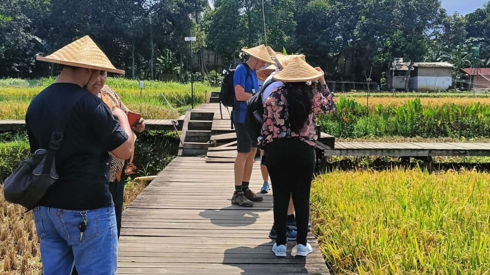 7-Hour Bogor Nature Tour with Botanical Garden and Rice Terraces