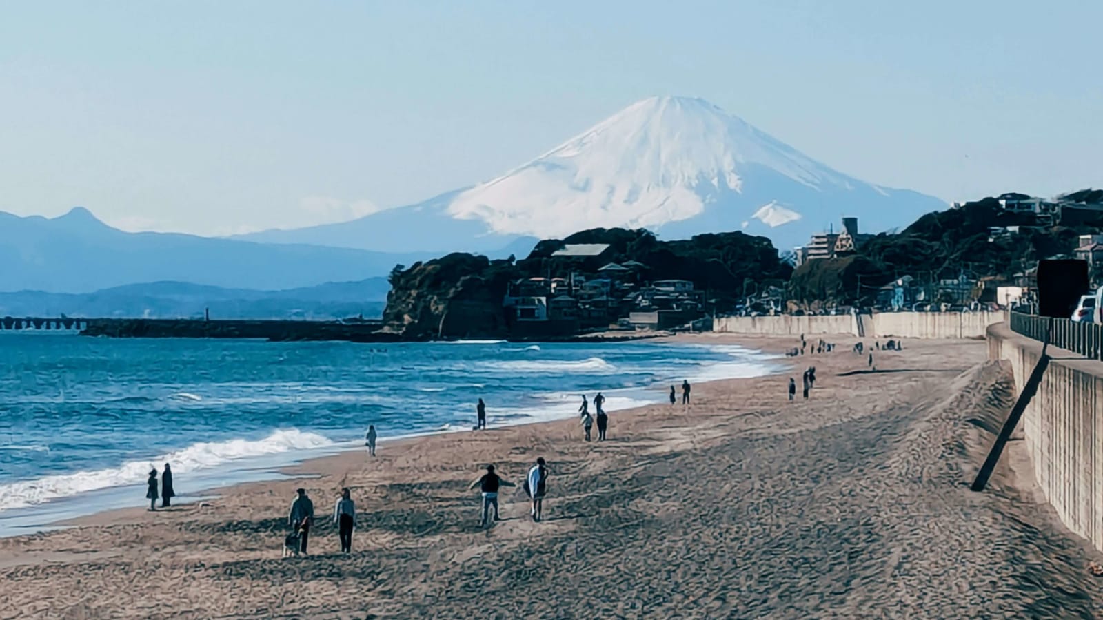 8-Hour Enoshima and Shonan Coast Tour from Tokyo with Flex Time