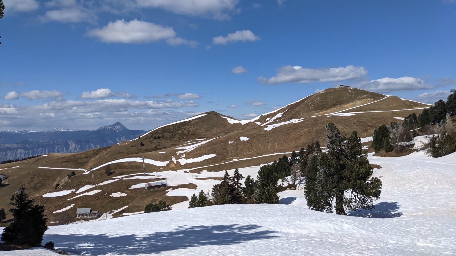 1-Day Birdwatching Tour in Chamrousse with Accessible Mountain Outing