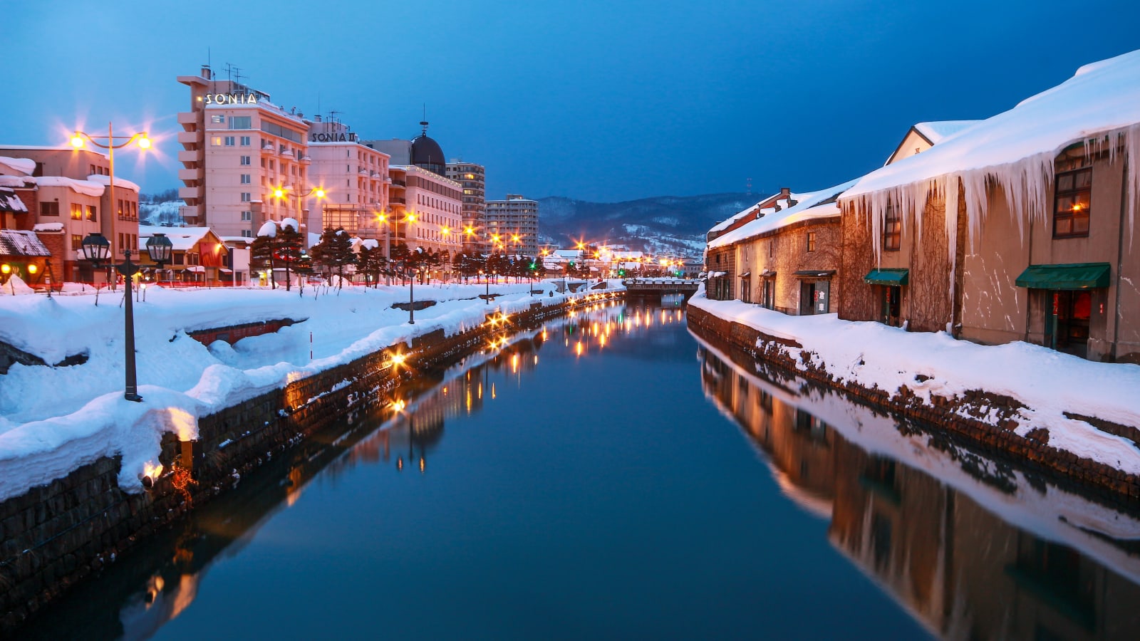 4-Hour Private Walking Tour of Otaru with Canal and Music Box Museum