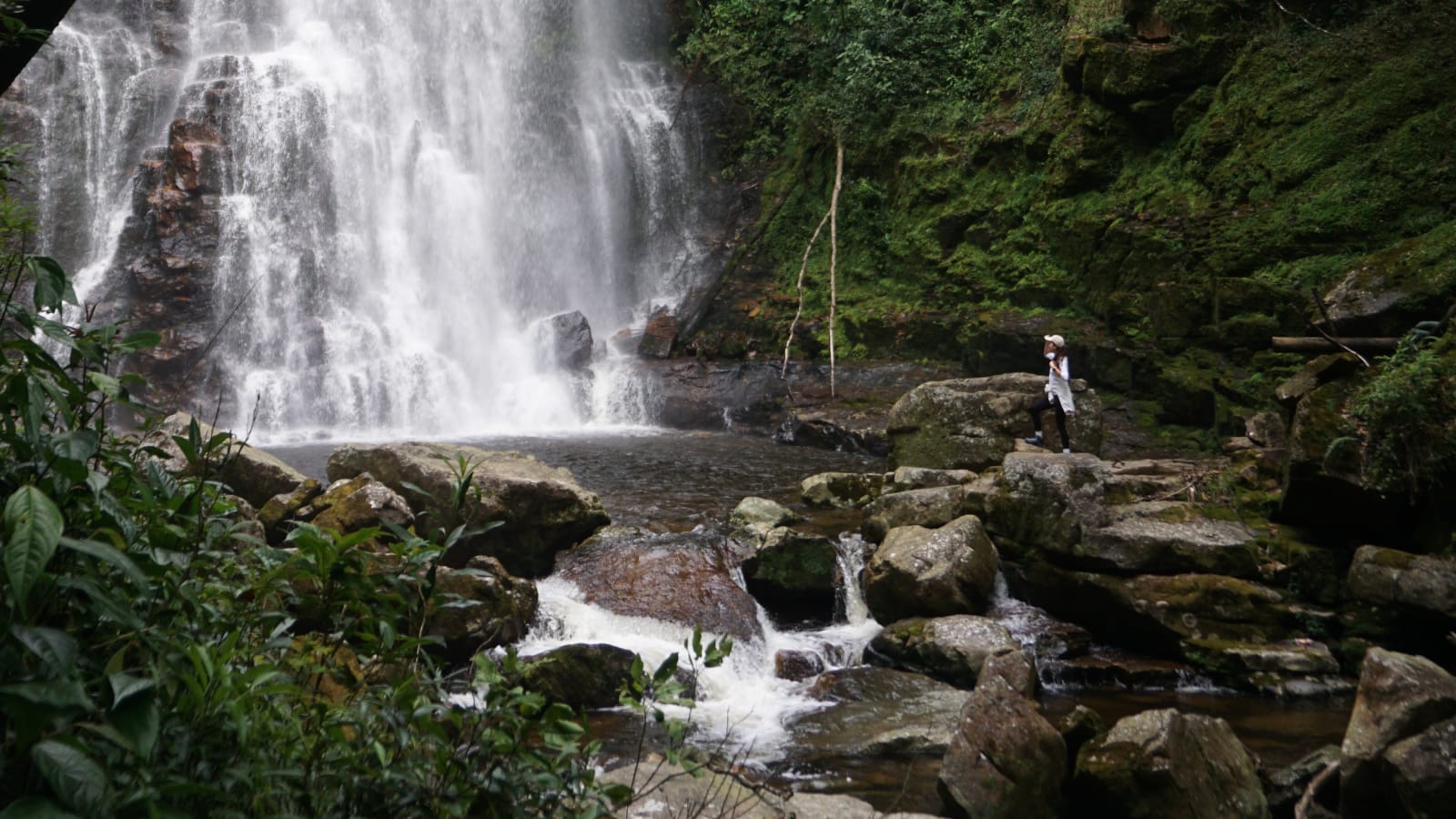 Tour de 3 horas a Los Tucanes con cascadas y senderos ecológicos