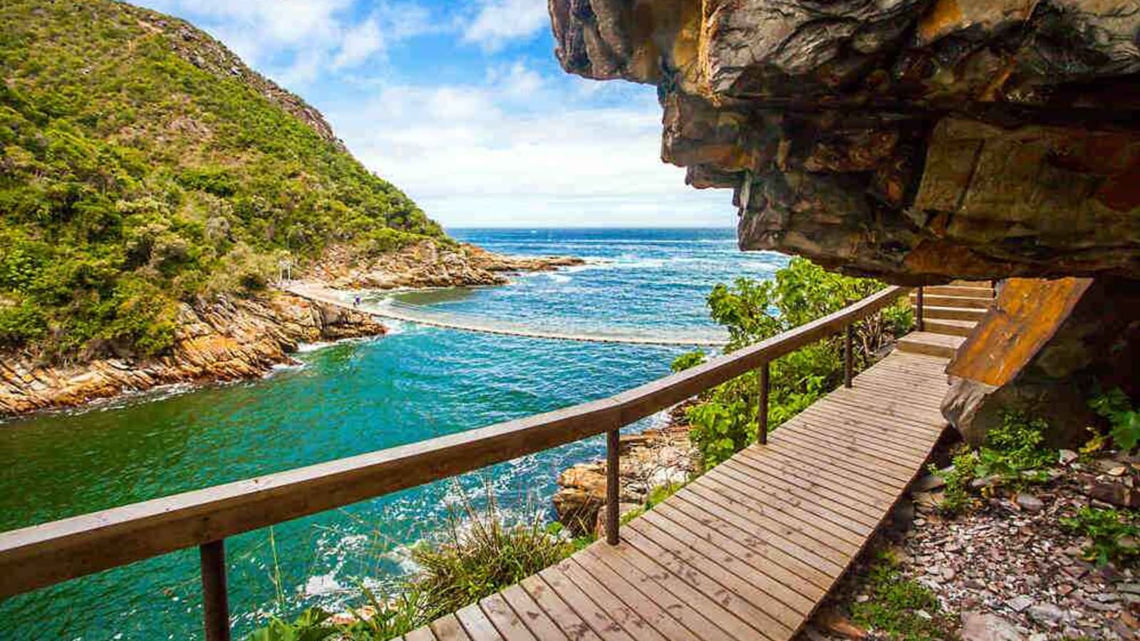11-Day Durban to Cape Town Tour with Addo Safari and Garden Route