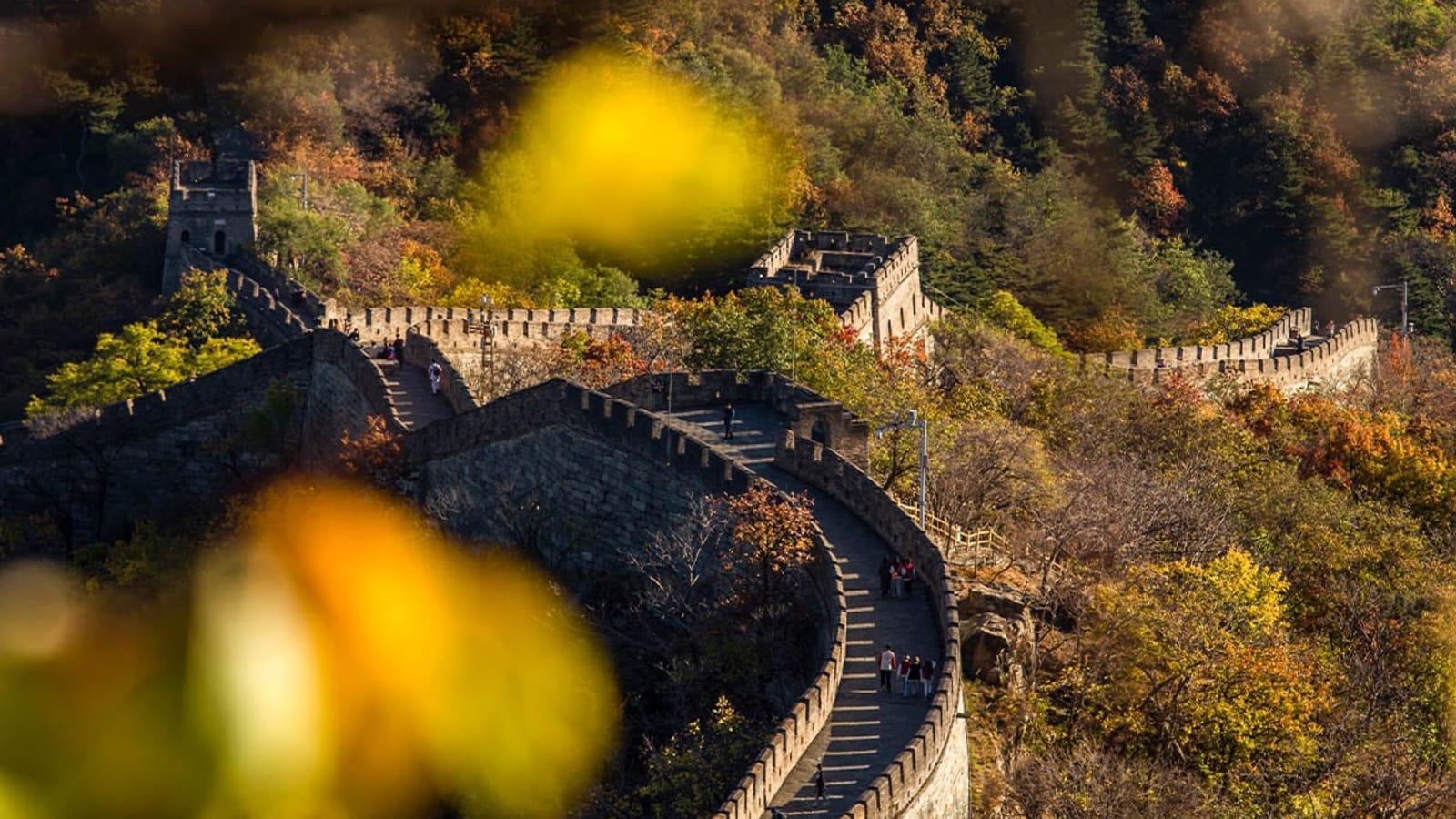 13-Day China Sightseeing Tour from Beijing to Shanghai with Pandas
