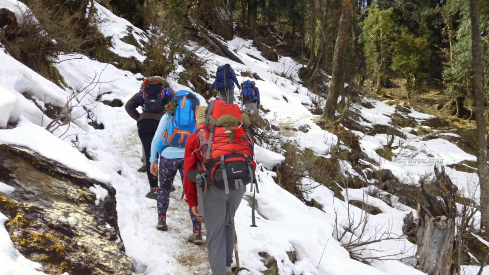 6-Day Kedarkantha Peak Trek from Dehradun with Summit Temple Visit