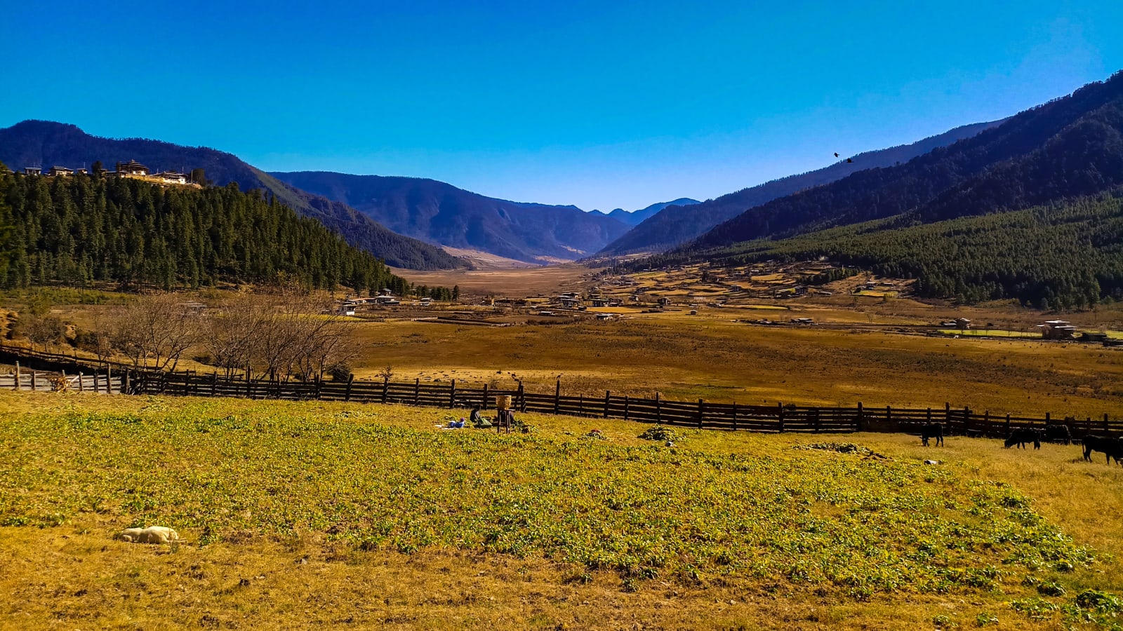 8-Day Bhutan Sightseeing Tour from Paro with Tiger's Nest Hike