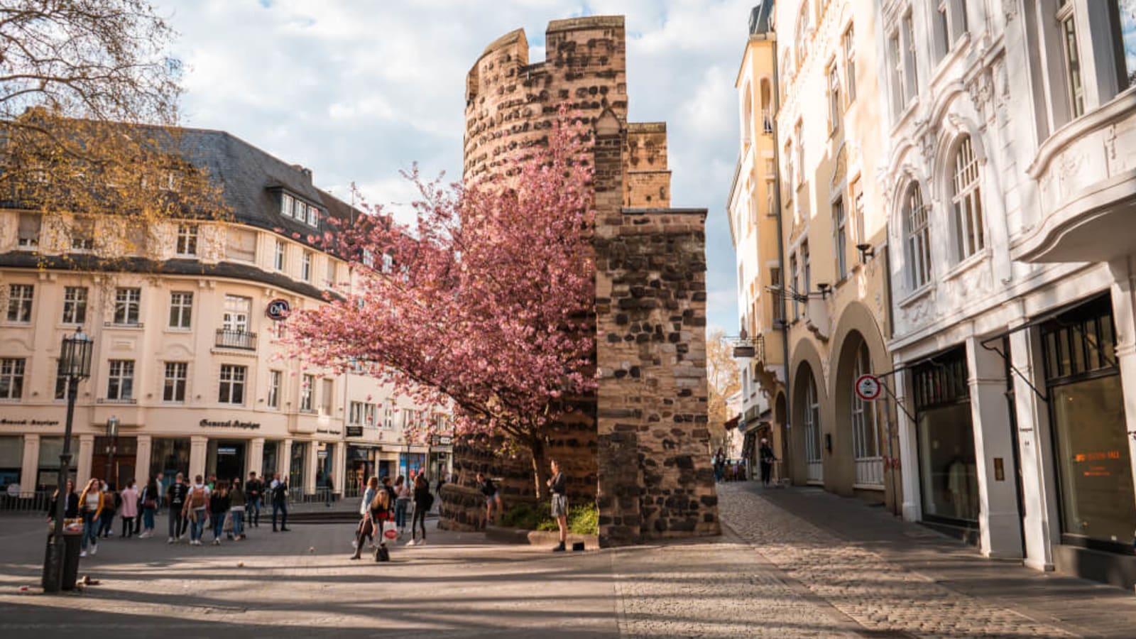 5-Hour Bonn City Tour from Cologne by Train with Private Guide