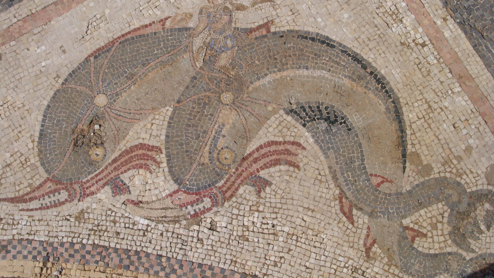 4-Hour Delos Archaeology Tour with Apollo's Mythical Birthplace