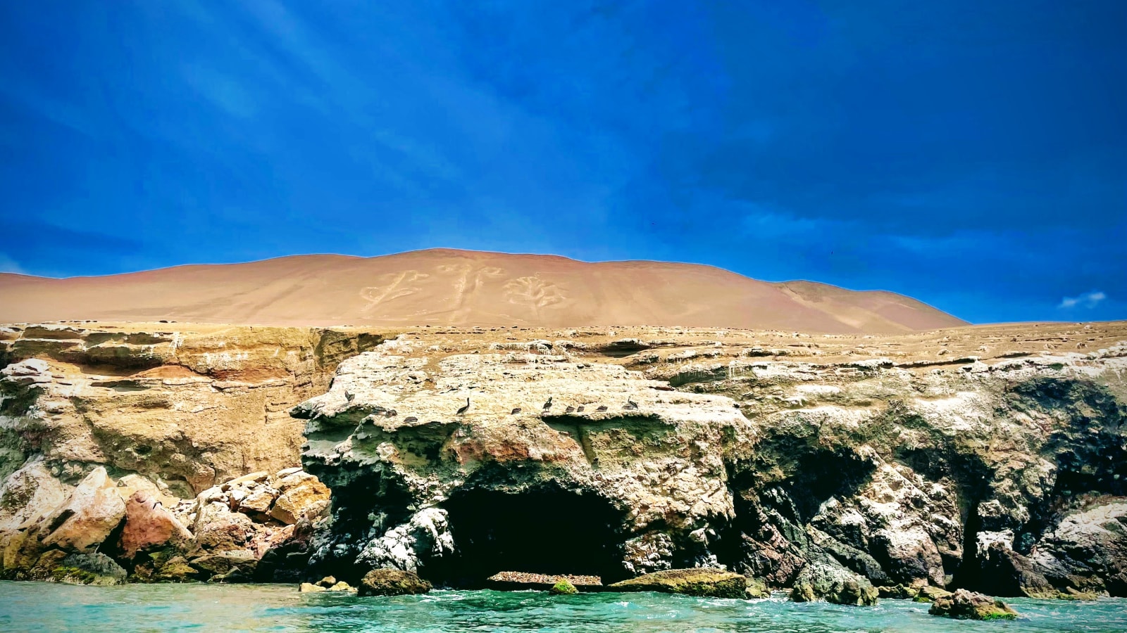 Tour de 2 Horas a Islas Ballestas desde Paracas con fauna marina