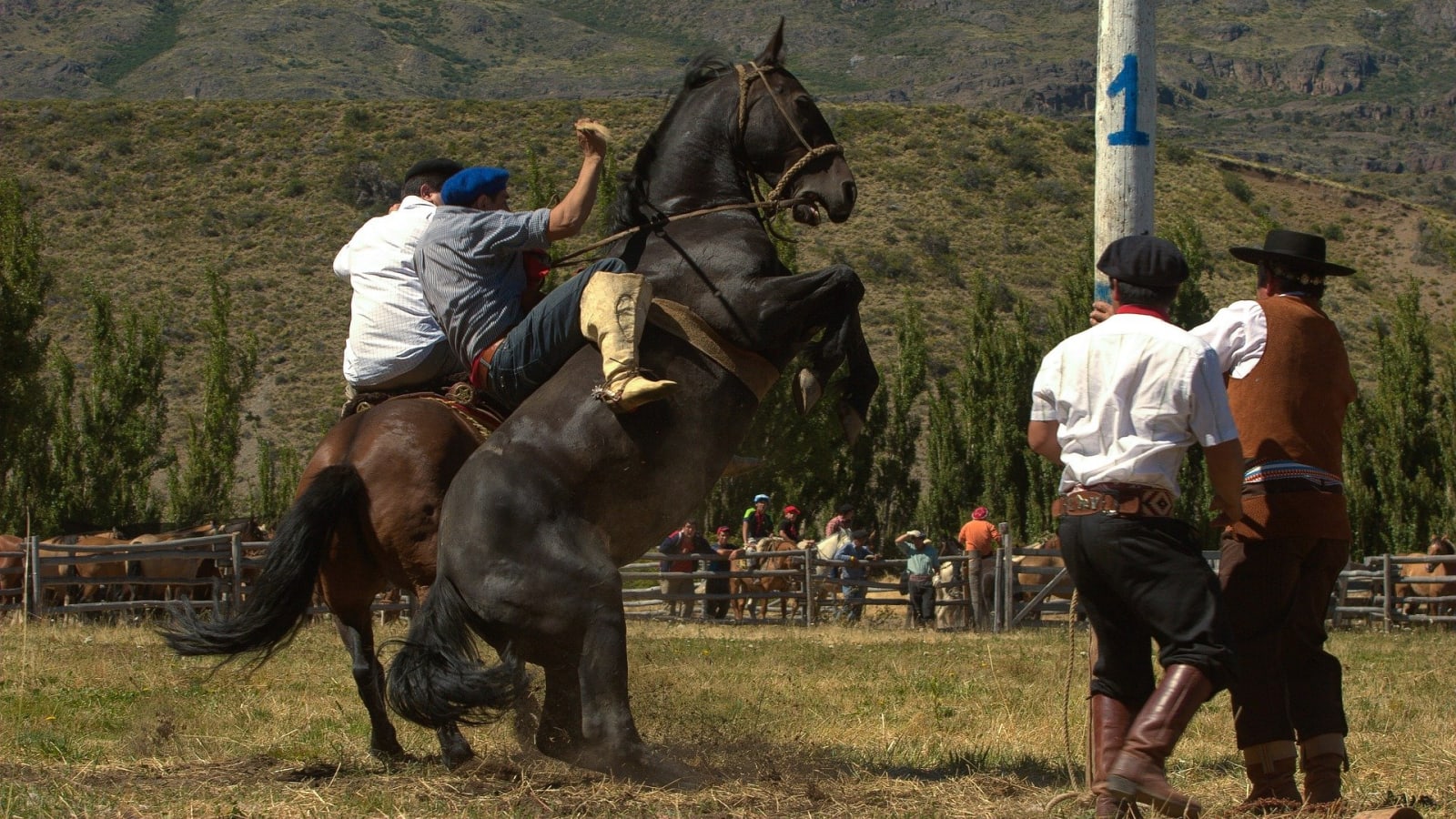 9-Hour Gaucho Tour to San Antonio de Areco with Asado Lunch