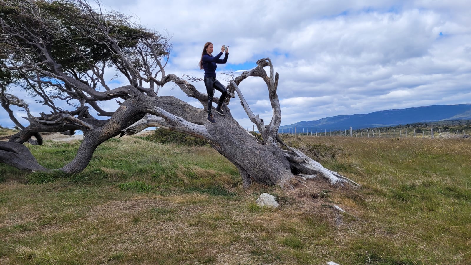 6-Hour Spider Crab Route Tour from Ushuaia with Puerto Almanza Lunch
