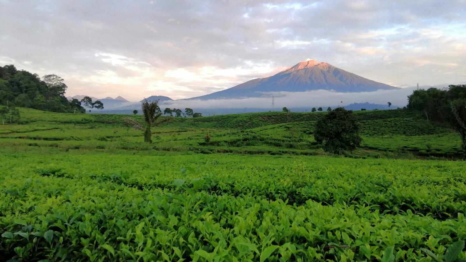 5-Day Mount Kerinci Trek from Bali with Summit Overnight