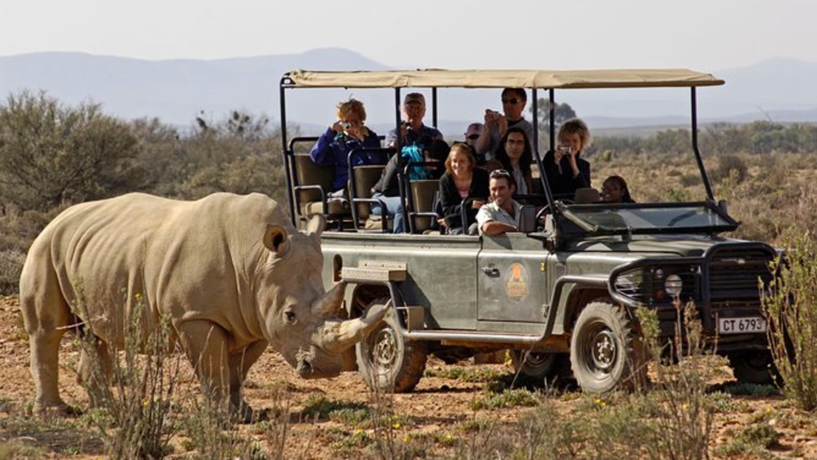 9-Hour Big 5 Safari in Aquila from Cape Town with Open-Air Game Drive
