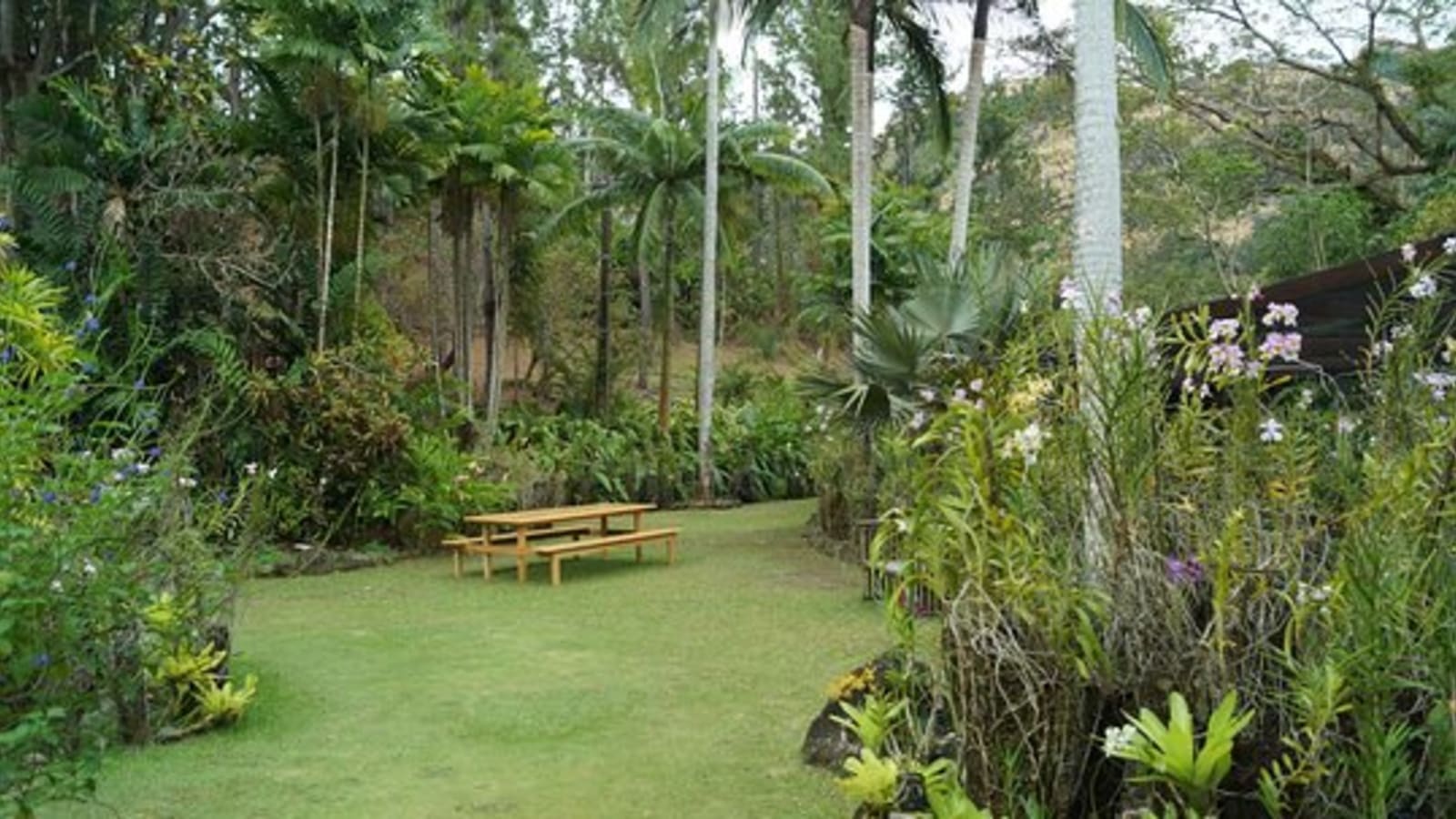 5 Hour Tour to Nadi Highlights
