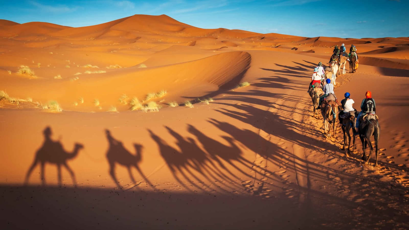2-Day Zagora Desert Tour from Marrakech with Camel Camp Stay