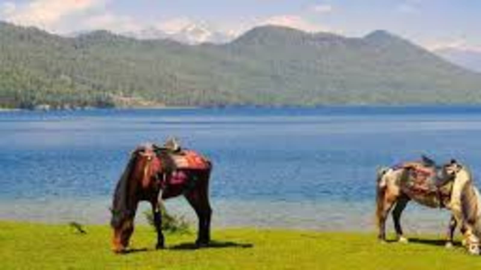 12-Day Rara Lake Yoga Trek in Nepal with Sinja Valley and Hot Springs