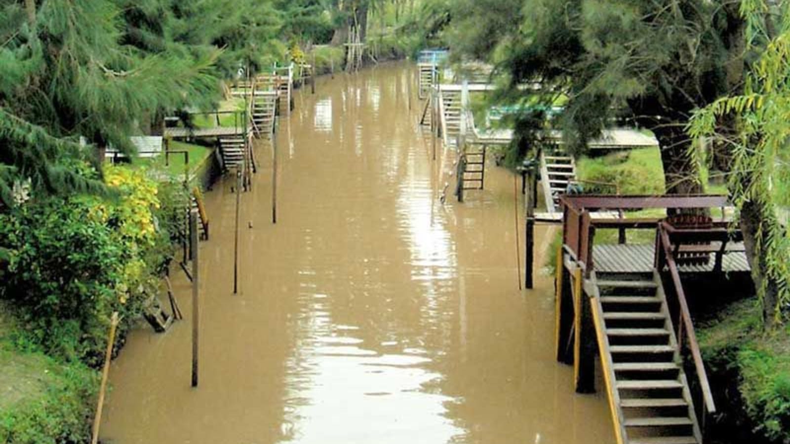 4-Hour Tigre Delta Tour from Buenos Aires with 45-Minute Cruise
