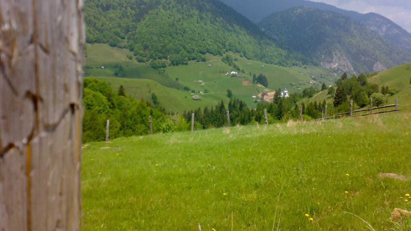 6-Day Central Romania Tour with Brașov Hikes and Bear Sanctuary
