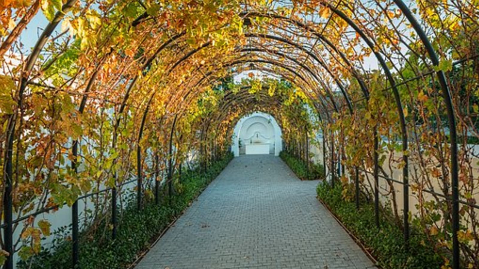 8-Hour Franschhoek and Stellenbosch Wine Tour with Drakenstein