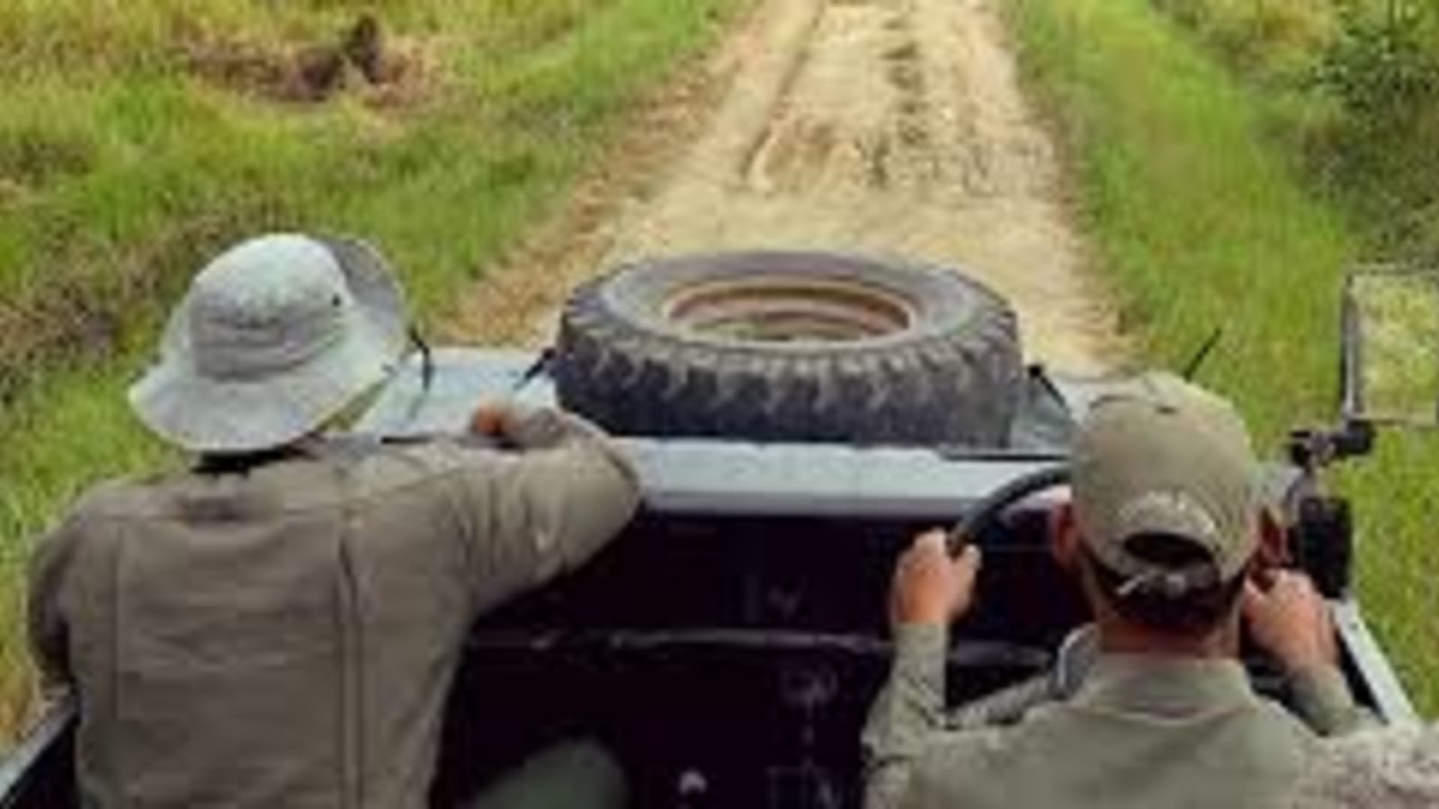 2-Day Bardia Wilderness Experience with Overnight Treehouse Stay