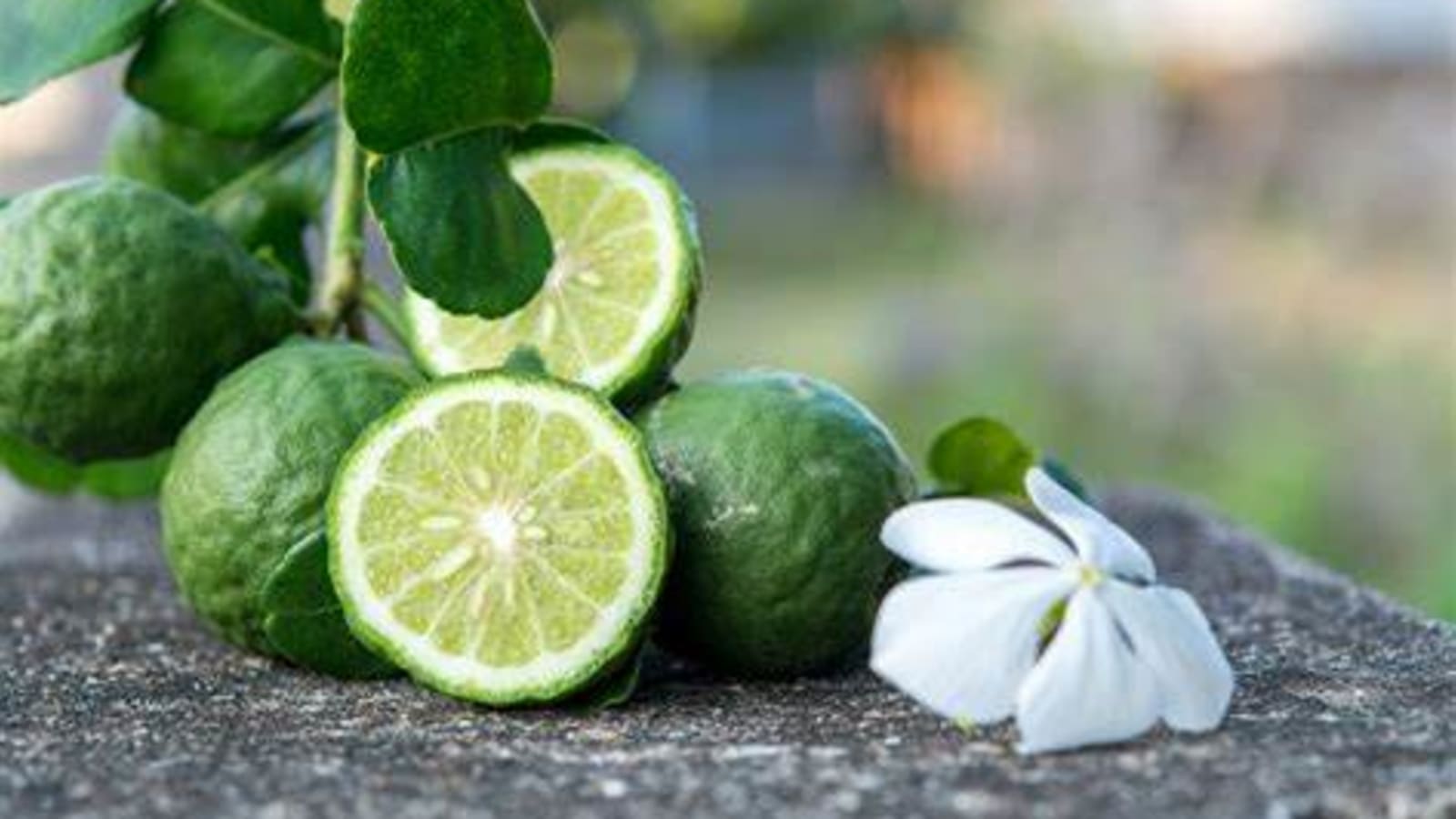 7-Hour Reggio Calabria Tour with Riace Bronzes and Bergamot Tasting