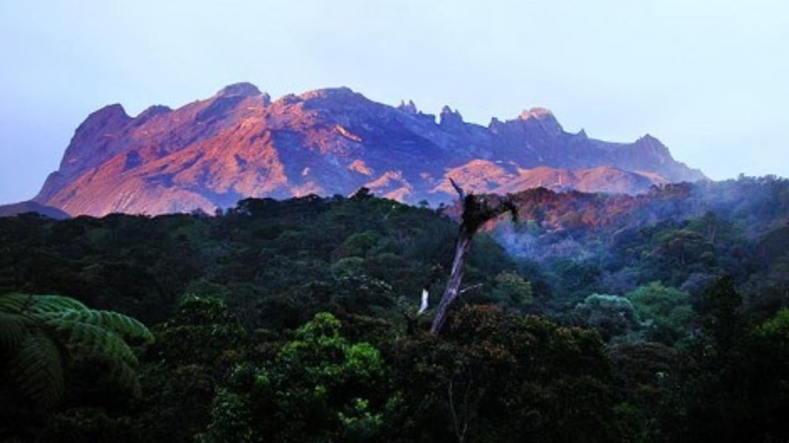 10-Hour Kinabalu Park and Poring Hot Springs Tour with Canopy Walk