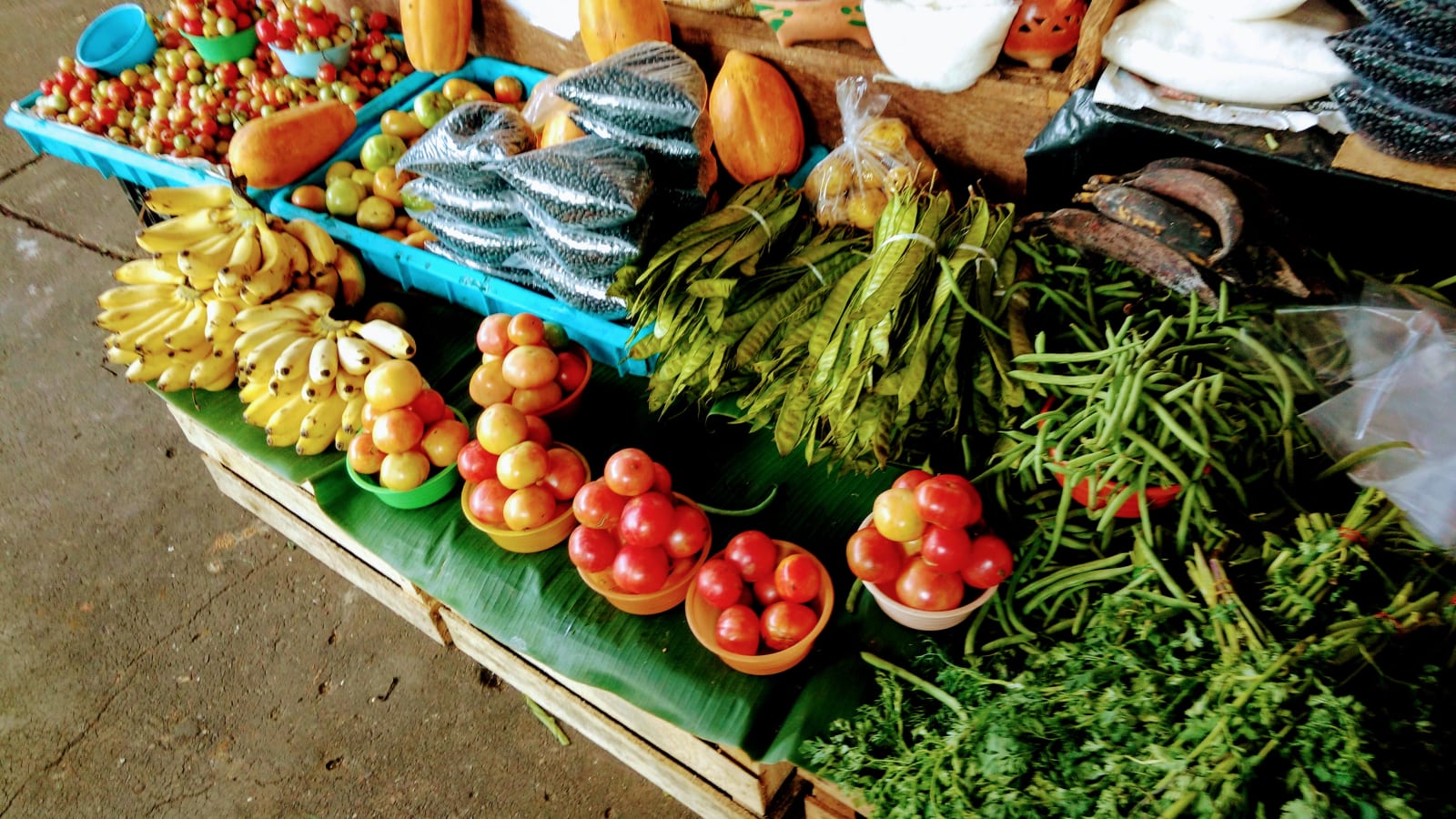 6-Hour Acapulco Attractions Tour with Fort San Diego and La Quebrada
