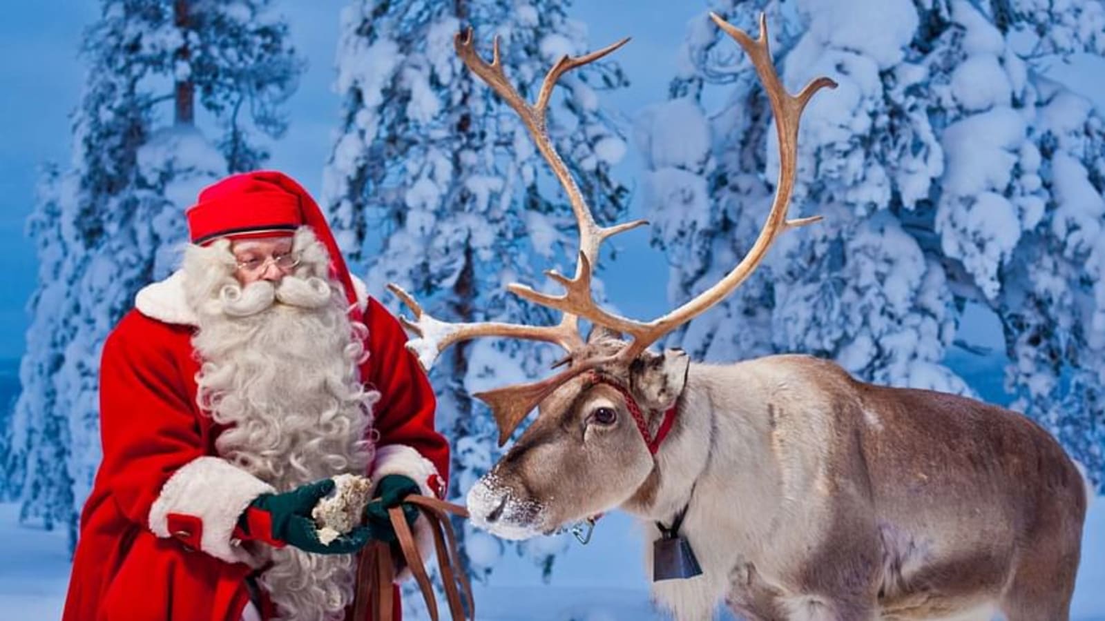 3-Hour Santa Claus Village Tour in Rovaniemi with Arctic Circle